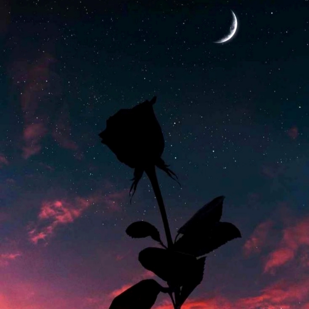 Meet your Posher, Gueriz